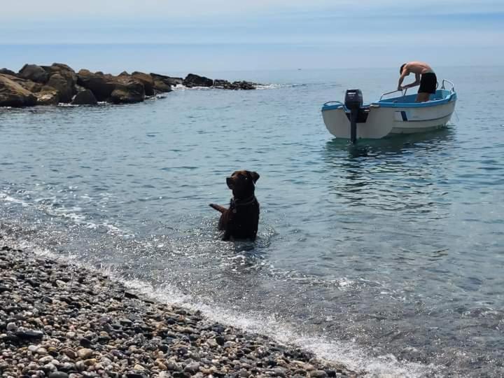 Vistas Al Mar Mediterraneo Melicena Екстериор снимка